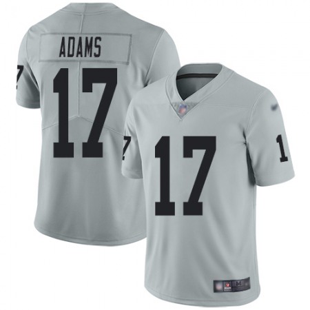Nike Raiders #17 Davante Adams Silver Youth Stitched NFL Limited Inverted Legend Jersey