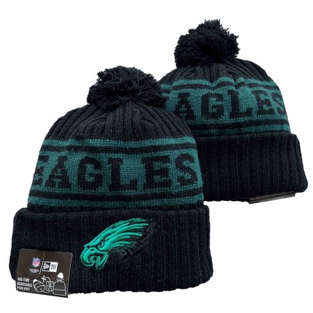 Philadelphia Eagles Beanies Knit Hat